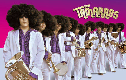 The Tamarros