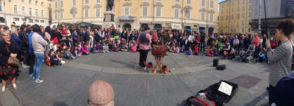 Mago Flip, il Magamondo
